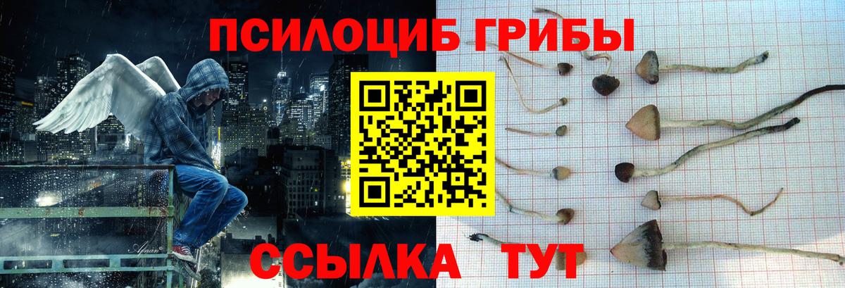Псилоцибиновые грибы Psilocybe  закладки  Вход с VPN  Озёрск  Псилоцибиновые грибы прущие грибы 